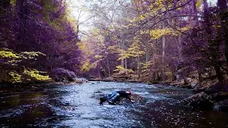 SKARS - Soulful Serenity (Official Music Video)