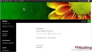 How to write a new post in WordPress