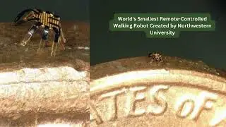 World's Smallest Remote Controlled Walking Robot Created by Northwestern University