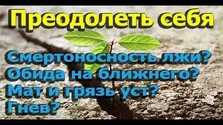Протоиерей Андрей Ткачёв. Смертоносность лжи? Обида на ближнего? Как измениться?