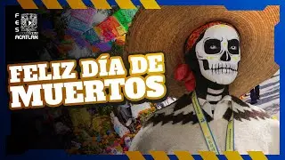 Festival Día de Muertos en Acatlán 🏵