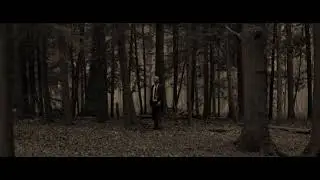 Lost woods 1