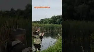 щука срезала поводок, промахнулся 🤣 #блесна  #рыбалка #жизнь #речка