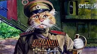 10 ФАКТОВ О КОШКАХ
