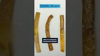 New #plastic eats itself