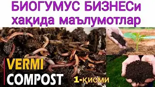 БИОГУМУС БИЗНЕСи хақида маълумотлар