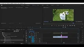 cara zoom  out di preiere pro