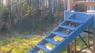 В гостях у внуков.