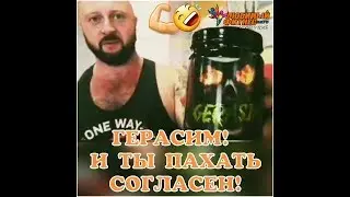 Gerasim. Спортпит в Оренбурге.