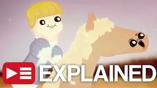 Pony & Boy: EXPLAINED