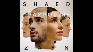 ZAYN & SHAED - TRAMPOLINE (LYRICS)