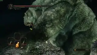 UwU