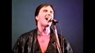 МИФЫ Мэдисон-стрит