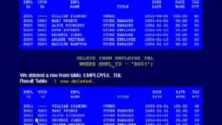 SQL 029 DELETE Command or How can I remove rows of data?