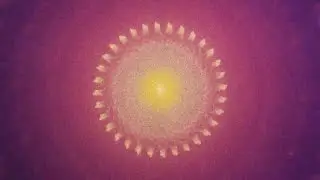 Francesco Berta - Particles and Fractals (Official Video)