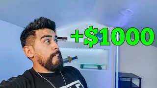 Side hustle that can make YOU an extra $1000 per month