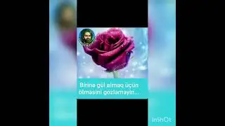 İmtahan fon musiqisi...