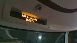 N16 to Victoria (iBus)