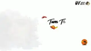 New WhatsApp Status