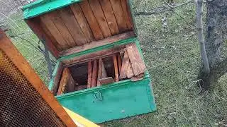 Перемены в пчеловождении