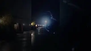 Тисовая улица в Подмосковье и Хагрид