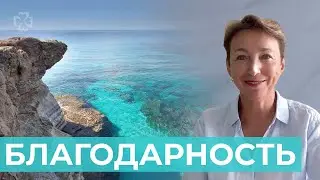 Сила контакта. Благодарность!
