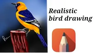 Realistic bird drawing / Digital drawing /Autodesk sketchbook
