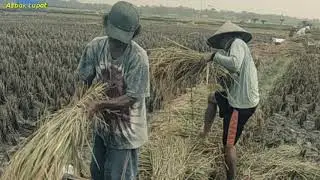 Hadapi saja