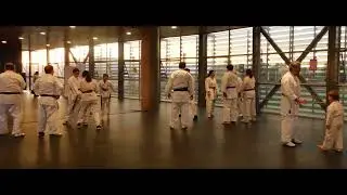DOJO SHUDOKAN CERRILLOS