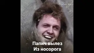 Папич вылез из носорога - Deepfake #Shorts