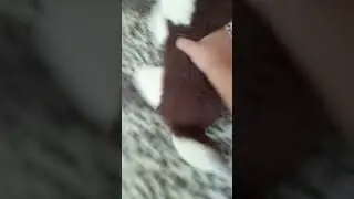 гонщик нелегальный