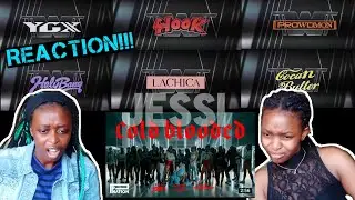 Jessi 제시 Cold Blooded with(스트릿 우먼 파이터 (SWF)) MV !!! REACTION !!!