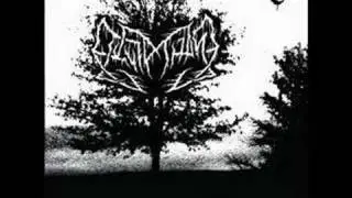 Leviathan (USA) - Pondering The Wealth of The Stars
