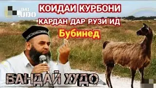 ХОЧИ МИРЗО 2023 МАСАЛАЙ ИДИ КУРБОНИ ЧИ ГУНА 🤔