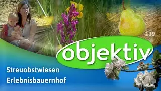 objektiv - Menschen, Leben, Rheinland-Pfalz (139)