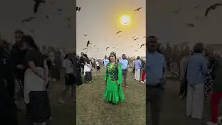 31 июля 2024 г.