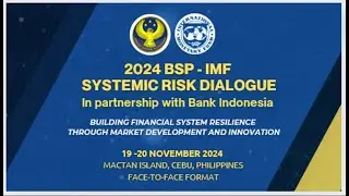 Save the Date: 2024 BSP IMF Systemic Risk Dialogue