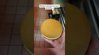 Perfect photos…😴 part 1 #satisfying