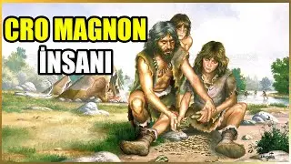 Modern İnsanın Kökenlerine Yönelik Tartışmalar: Cro Magnon'un Rolü