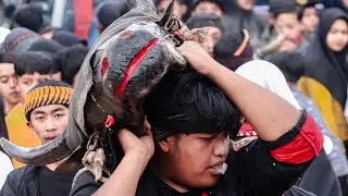 MULYO JOYO , NGROTO JOYO , SIDO MUNCUL , GUMARANG SAKTI LIVE PANDESARI 2023