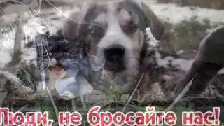 Заживо замороженные