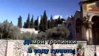 Караоке застольные  Шумел камыш