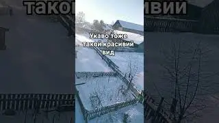 17 січня 2024 р.