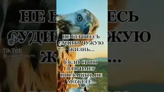 судить чужой мир