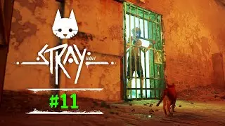 ESCAPING THE JAIL - #11 | STRAY | CAT GAME | AVON SPARSH