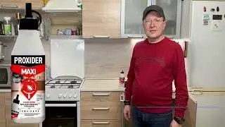 16 августа 2024 г.