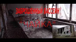 заброшенный бассейн чайка