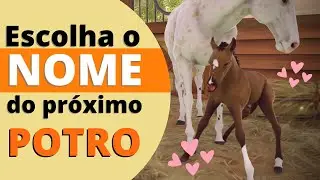 🏇 Voltando com Video de Breeding | Rival Stars