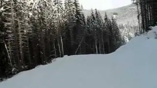 MVIc_16a.mp4