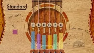 Guitar Tuner | Standard E A D G B e